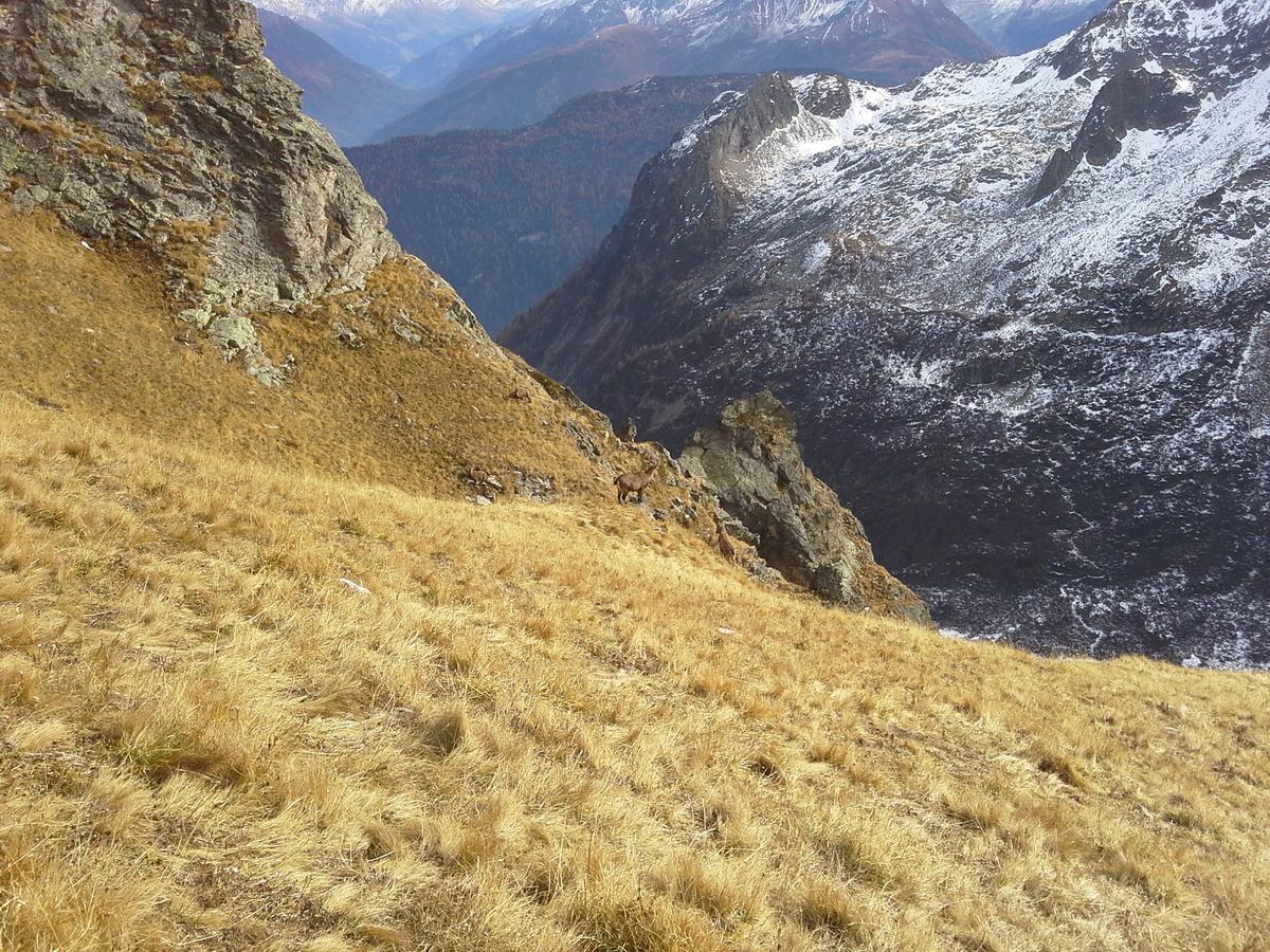 Lieu Secret Dans Les Alpes Suisses Vila Le Tretien Exterior foto