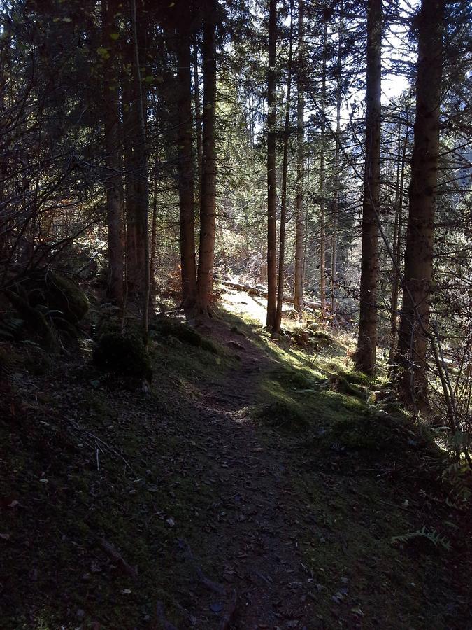 Lieu Secret Dans Les Alpes Suisses Vila Le Tretien Exterior foto